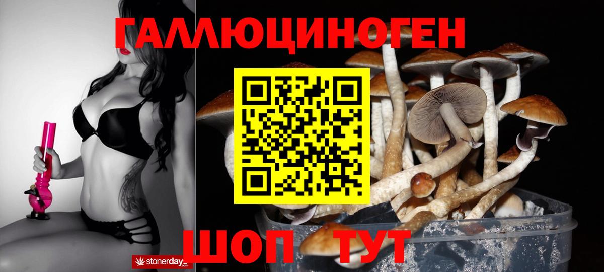 Дальнегорск  Псилоцибиновые грибы Magic Shrooms  Псилоцибиновые грибы мухоморы  Вход с VPN 