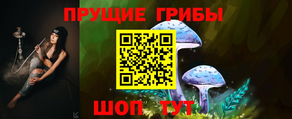Галлюциногенные грибы Cubensis Дальнегорск